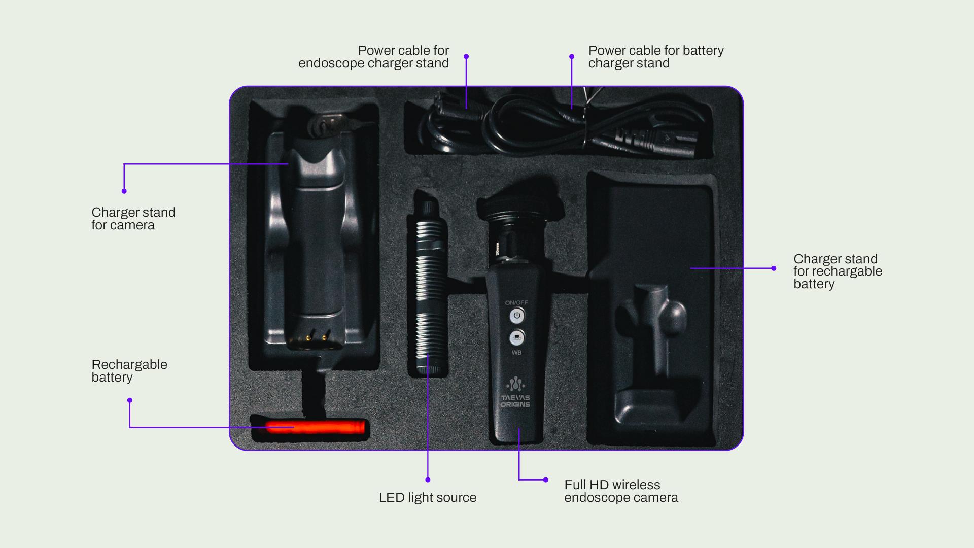 What to expect in taevas origins endoscope kit-taevas-Web banner